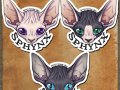 sphynx_cats___merch_by_temrin-dacub30.jpg